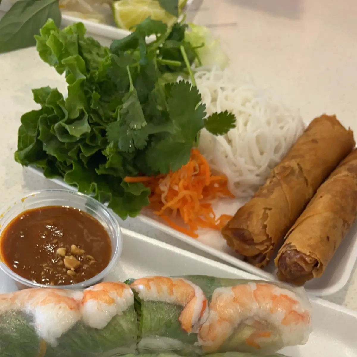Charbroiled Pork Beef or Chicken Spring Rolls