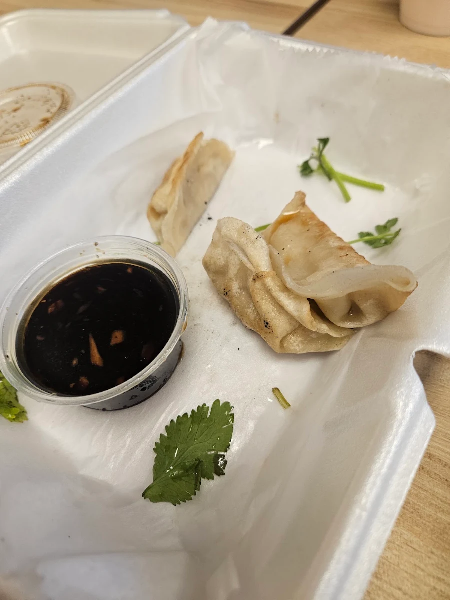 Pan-Fried Chicken Dumplings 8