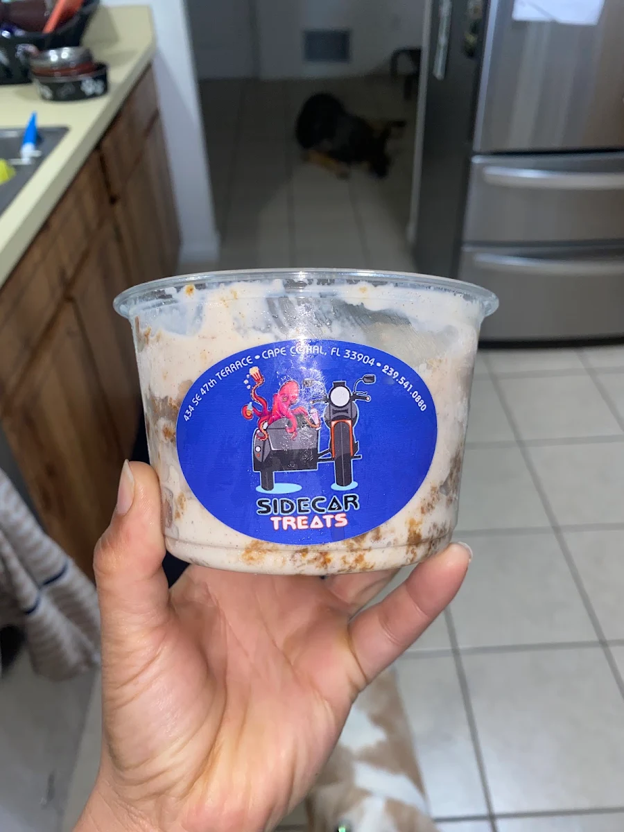 Oatmeal Cookie Ice Cream