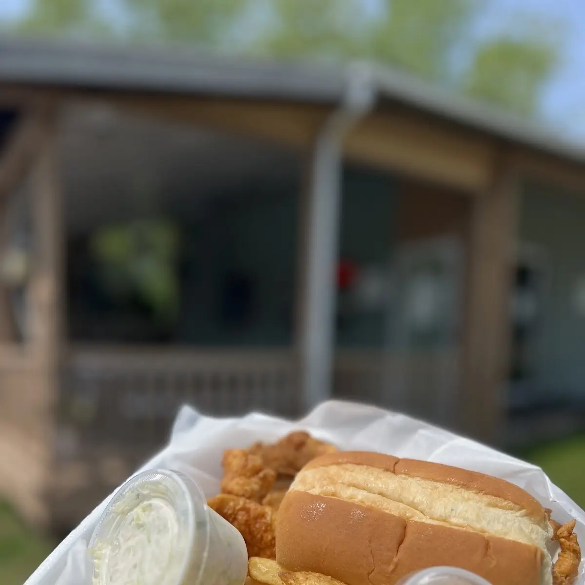 Fish Sandwich Combo