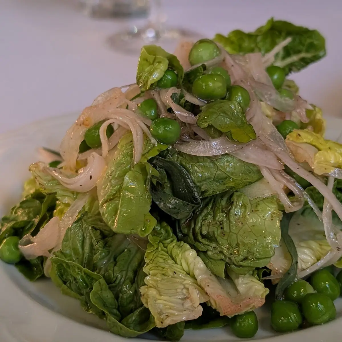 Salad