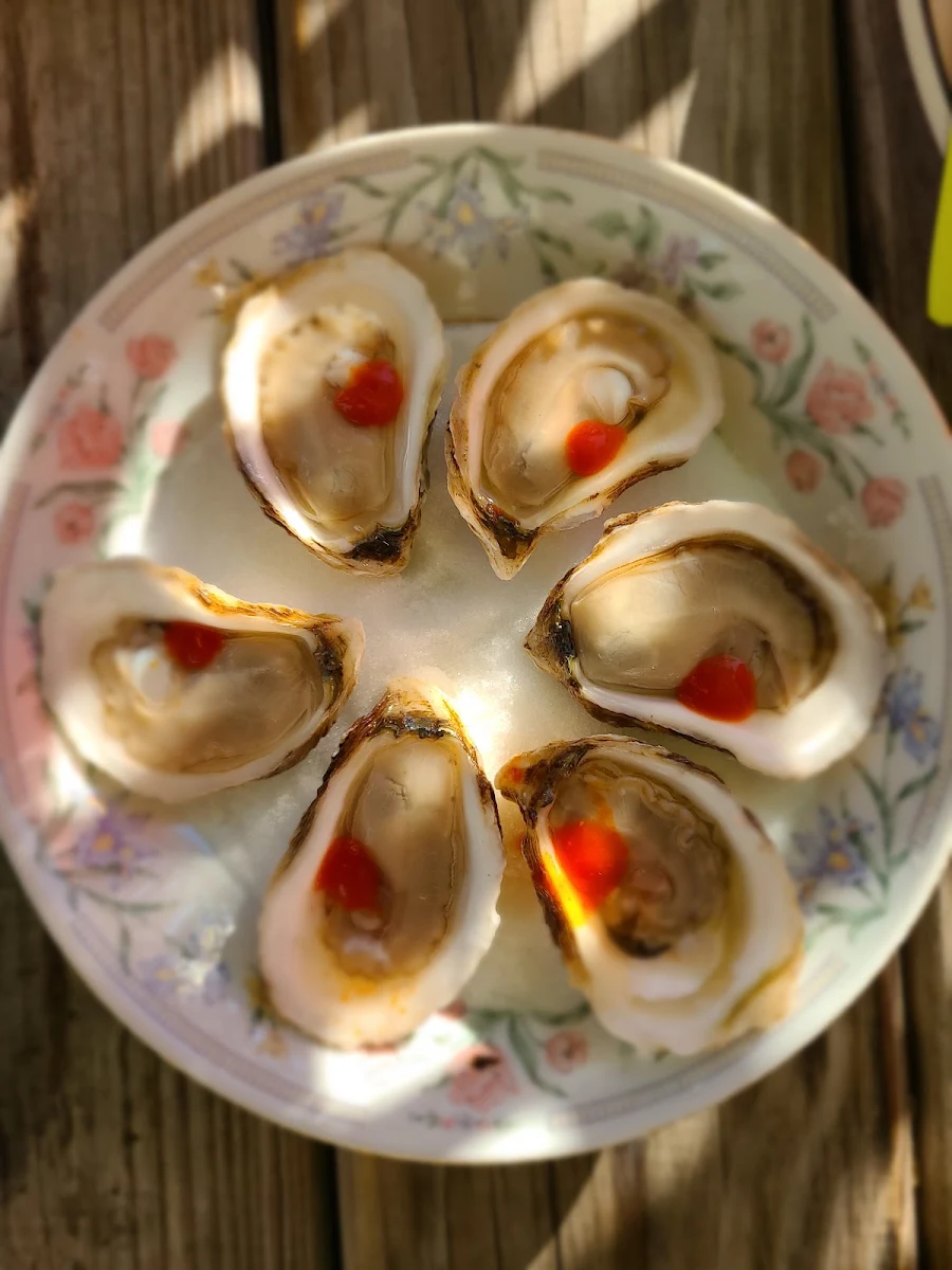 Fresh Oysters, Donna’s