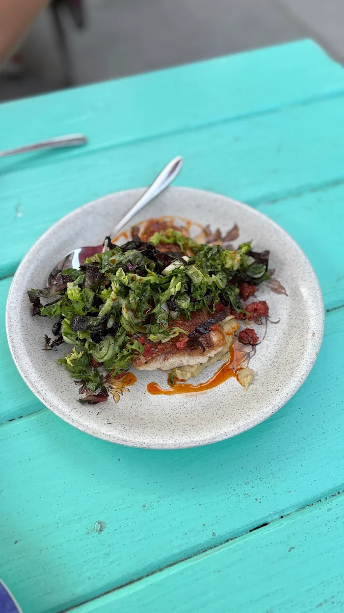 Red Snapper, Donna’s