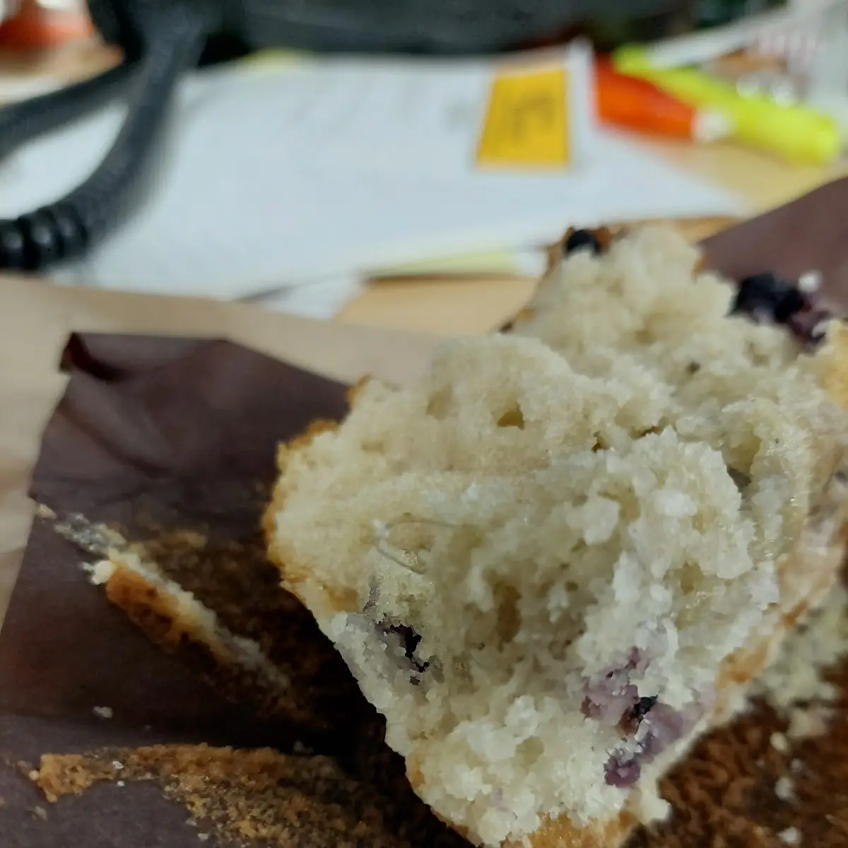 Blueberry Muffin