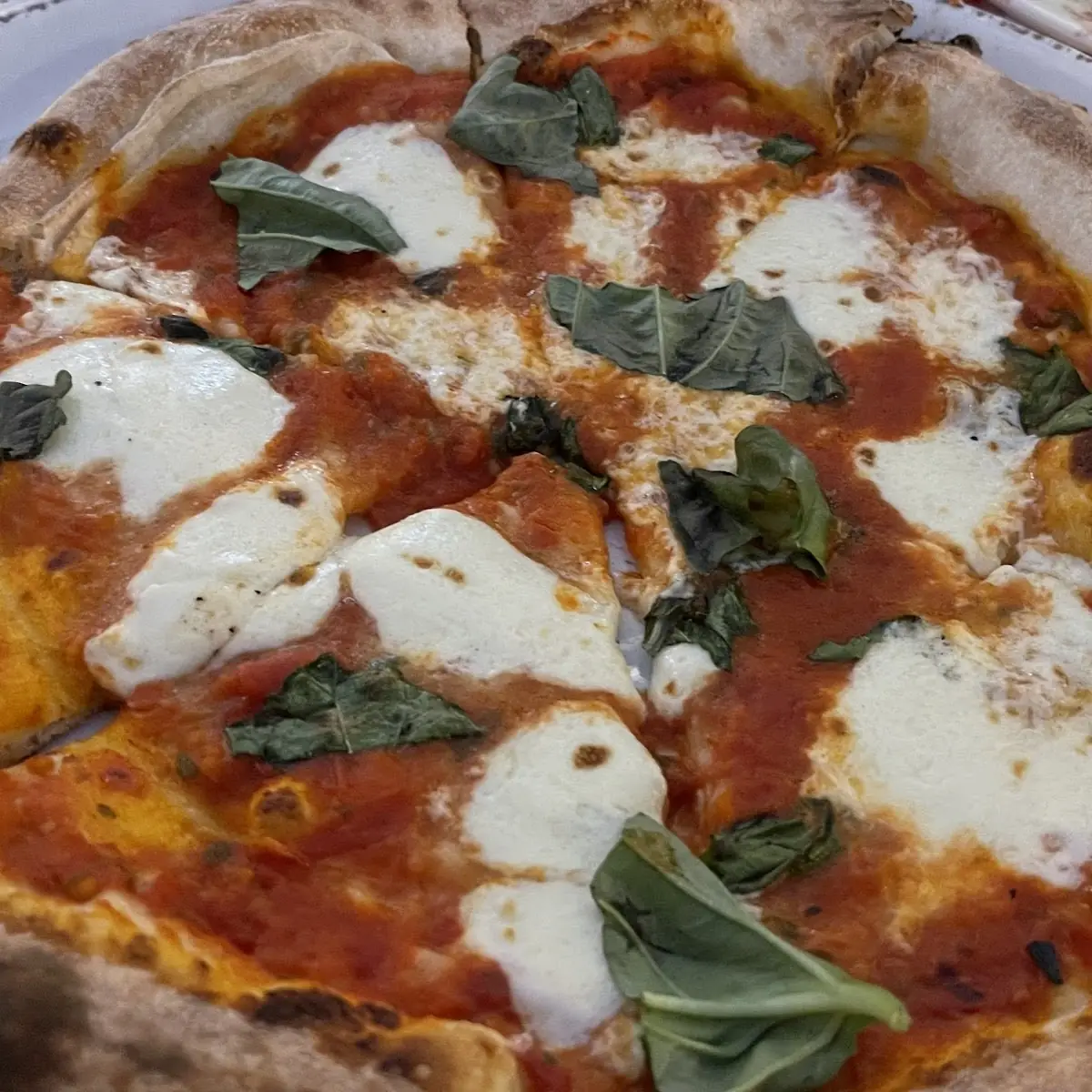 Mushroom Pizza