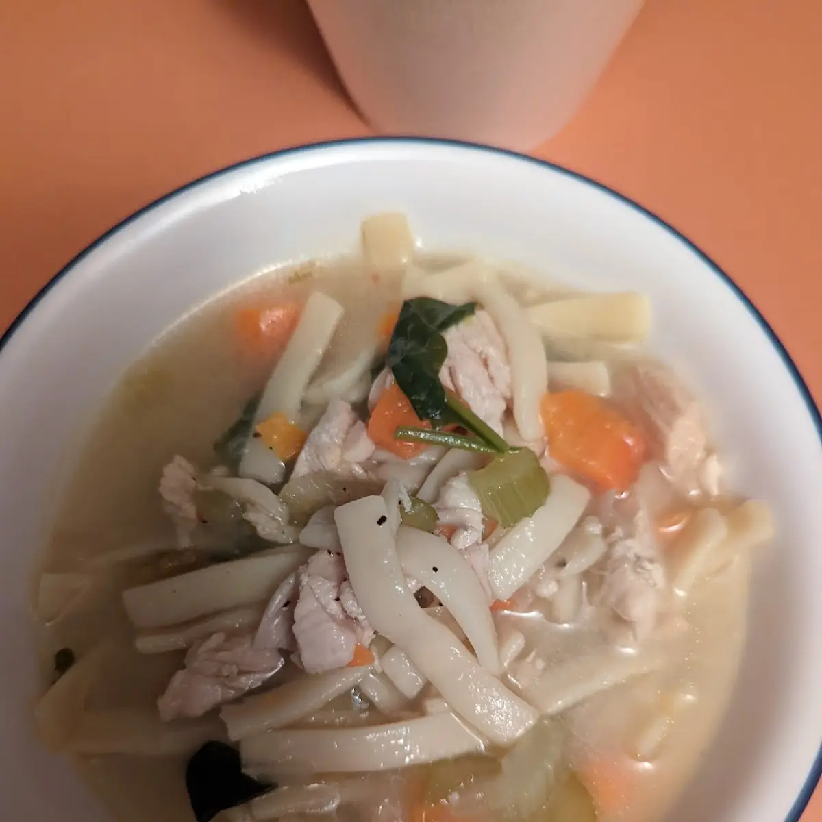 Chicken Noodle Soup