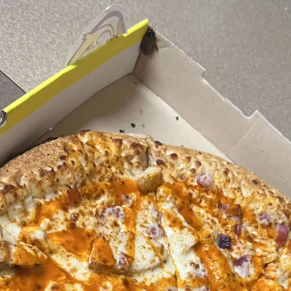 Buffalo Chicken Pizza