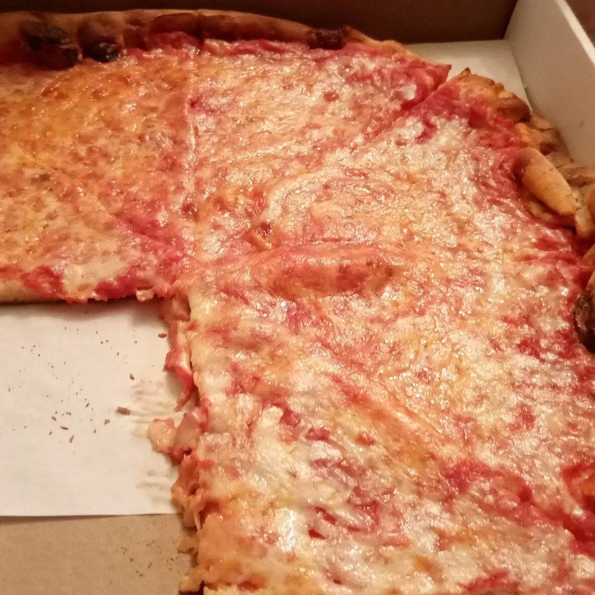 Plain Cheese Pizza