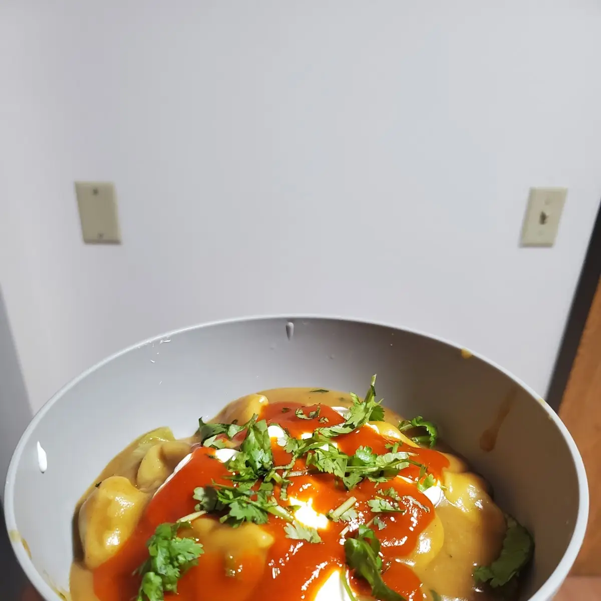 Frozen Dumplings