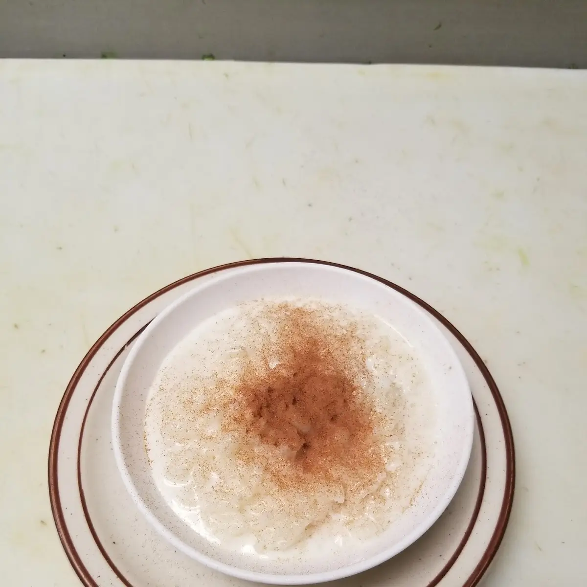 Homemade Rice Pudding