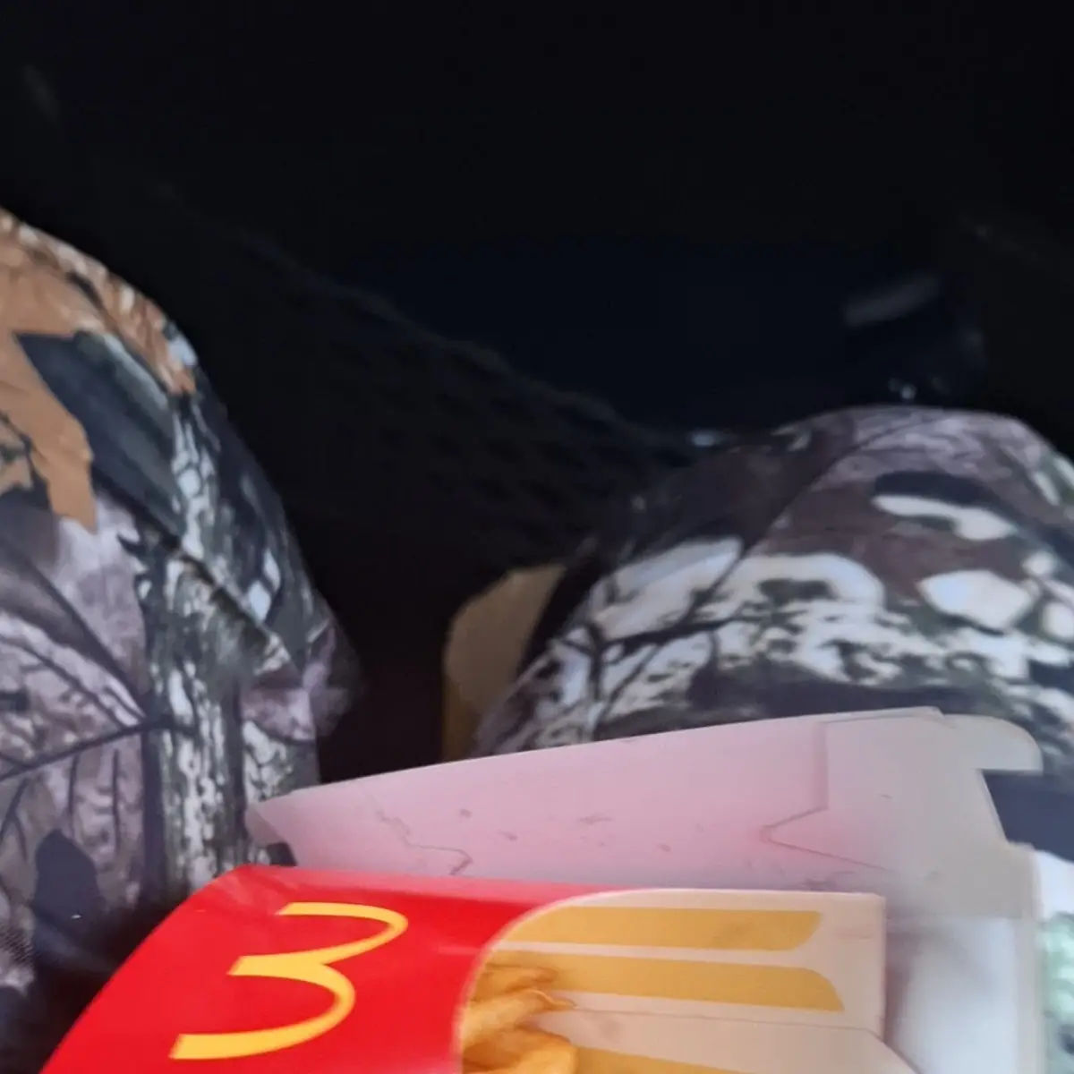 40 PC Chicken Mcnuggets & 2 Large Fries