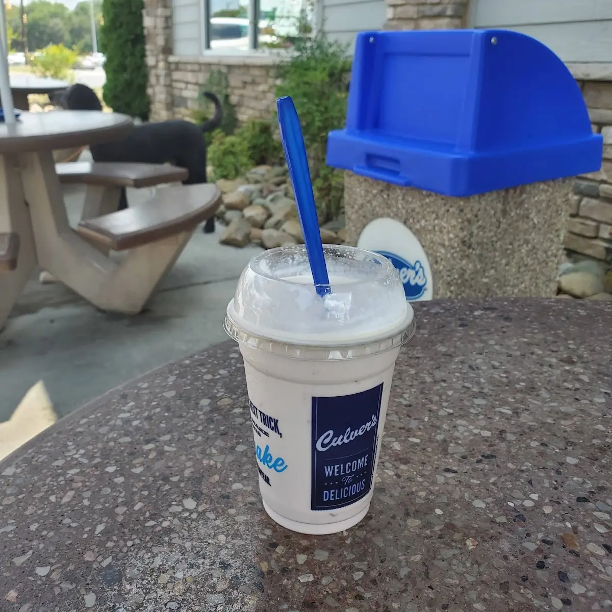 Frozen Custard