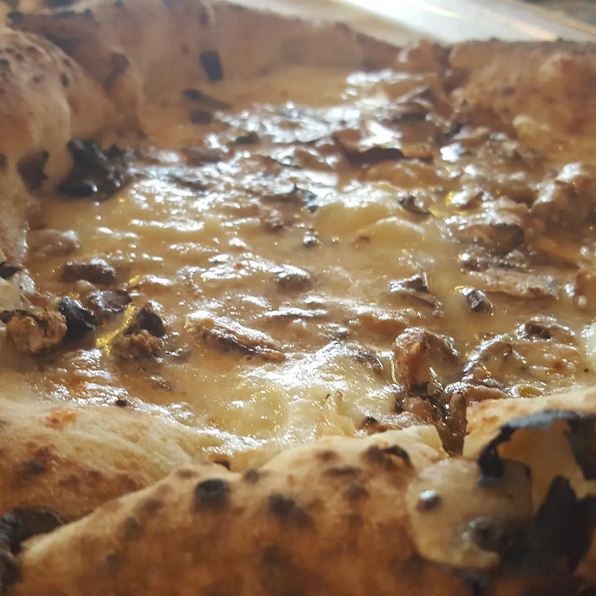 Mushroom Pizza