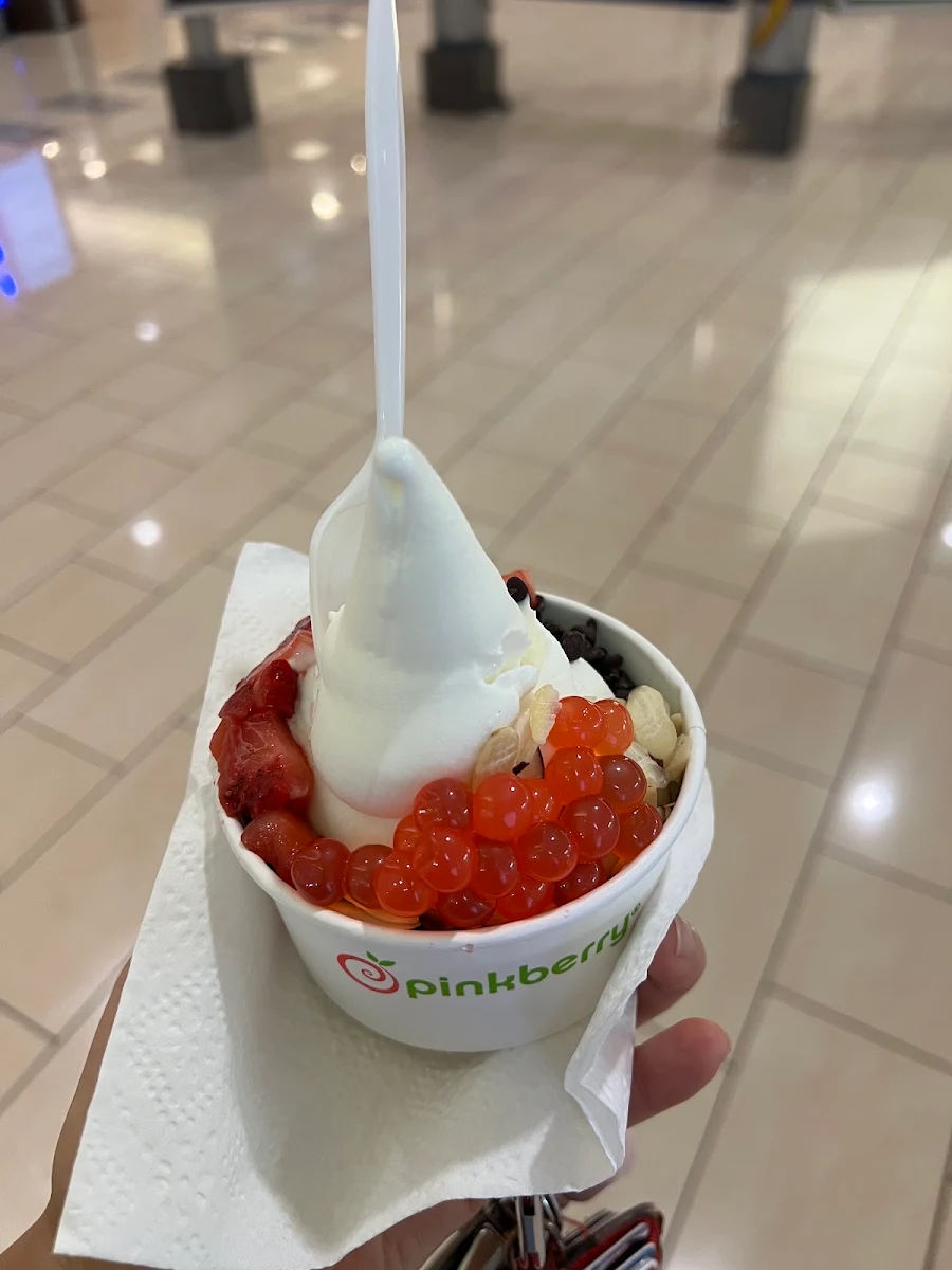 Frozen Yogurt with Fruit Toppings