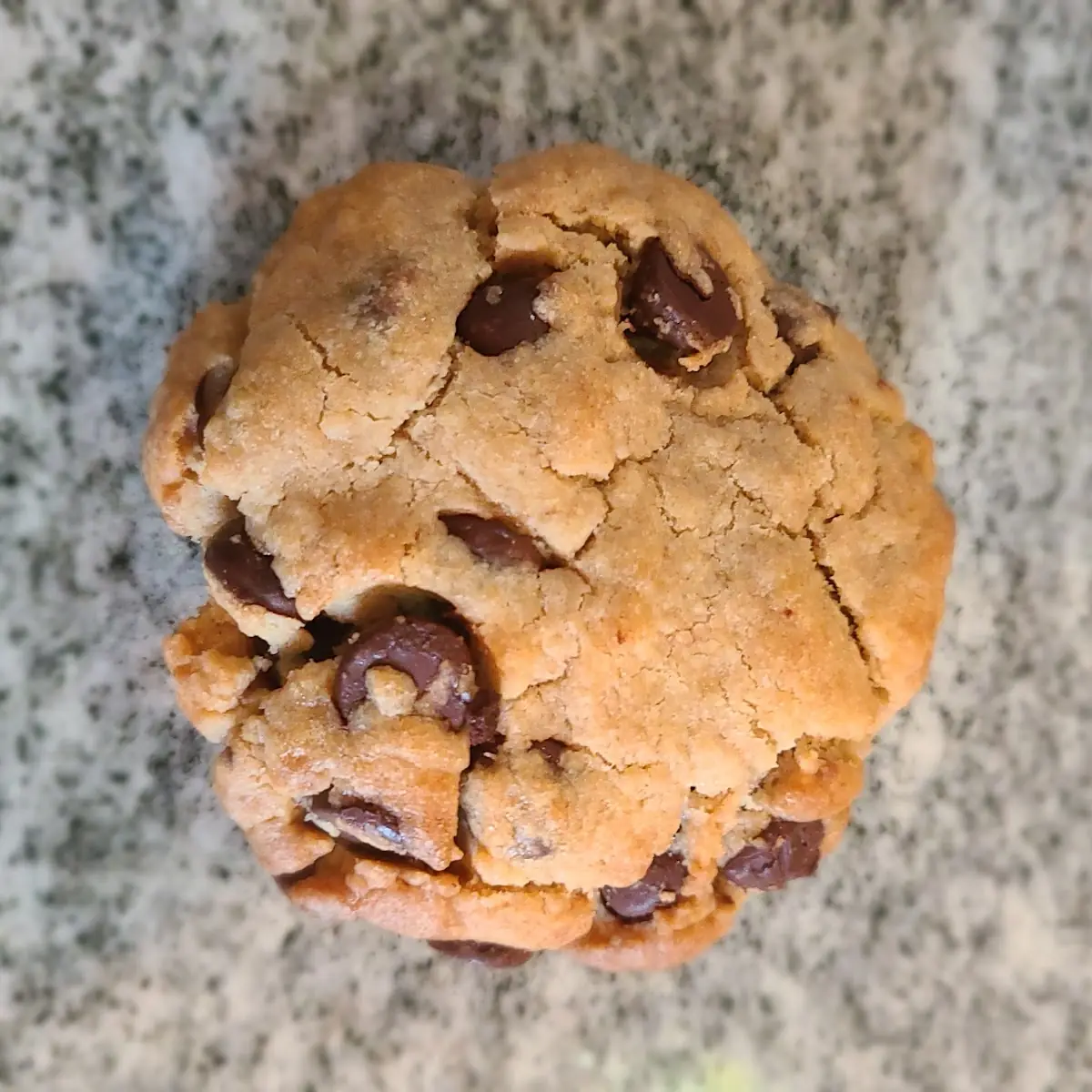 Chocolate Chip Cookie