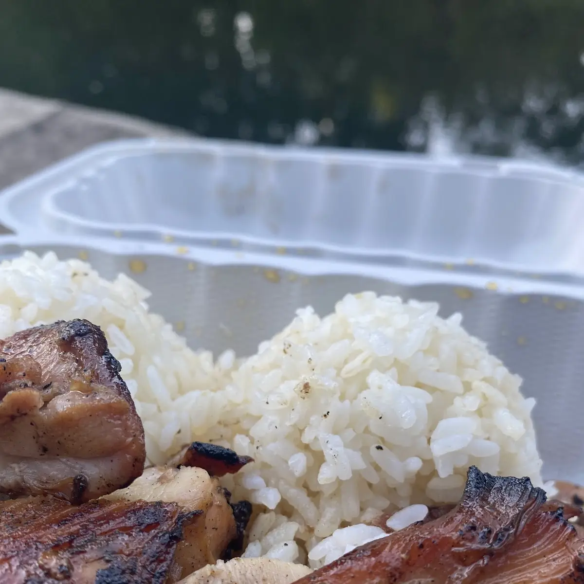 Chicken Teriyaki and Rice