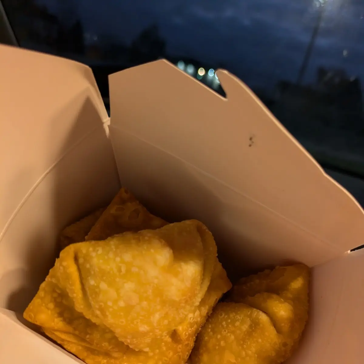 Crab Rangoon 6