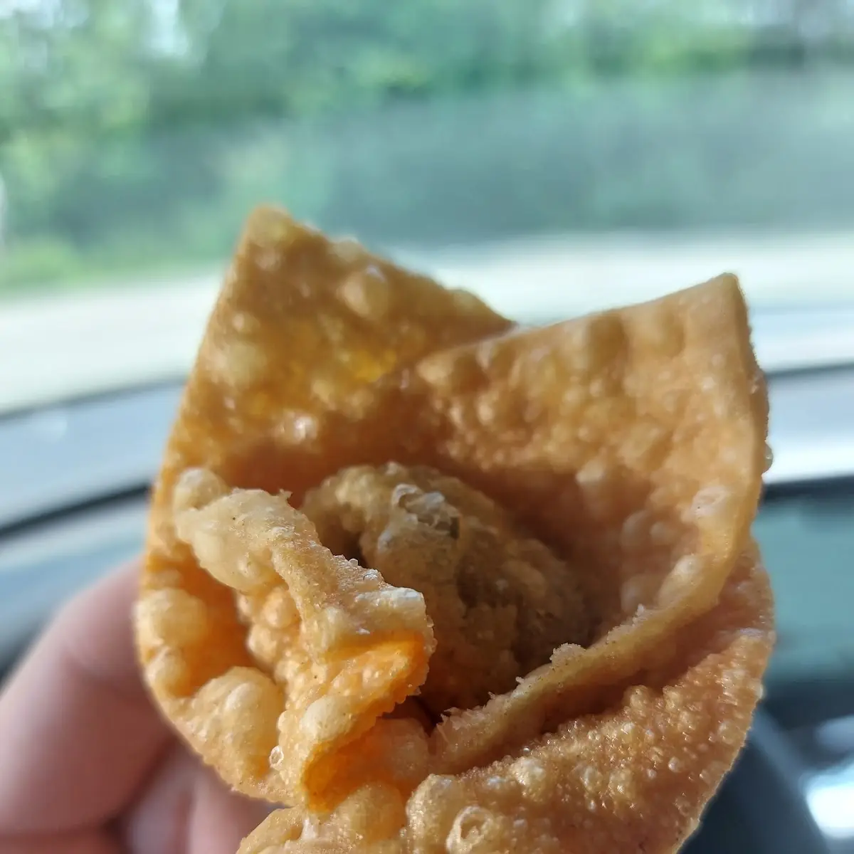 Cheese Wonton