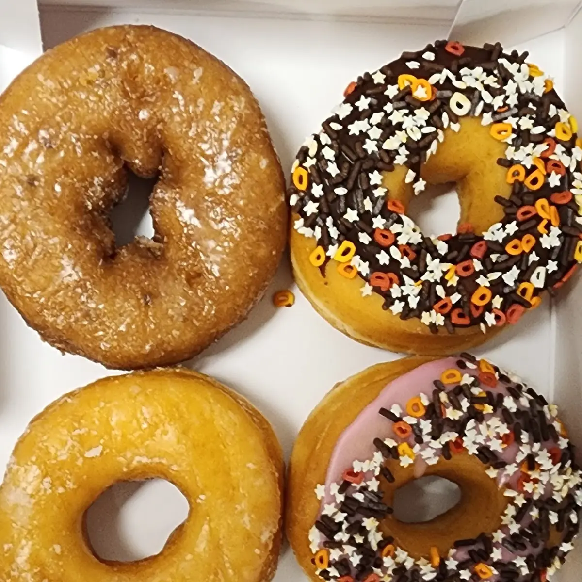 Doughnut