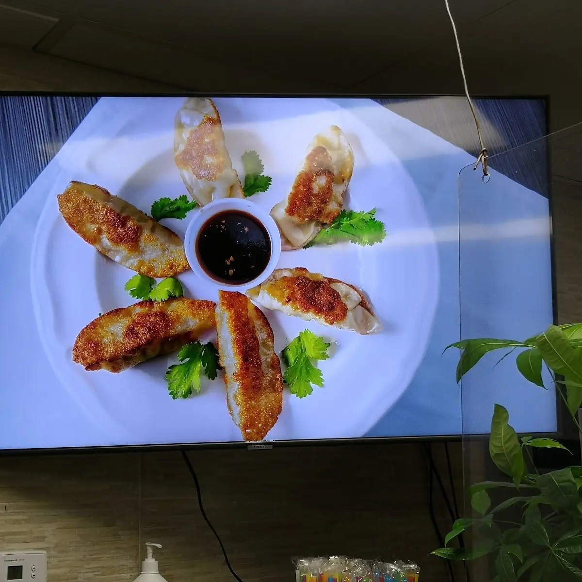 Fired Dumplings
