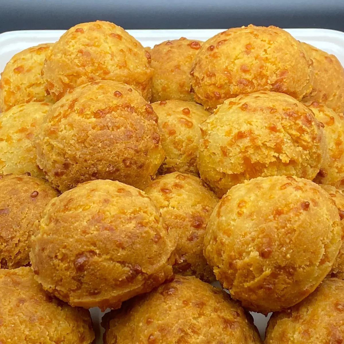 Gf Dog Biscuit (Single)