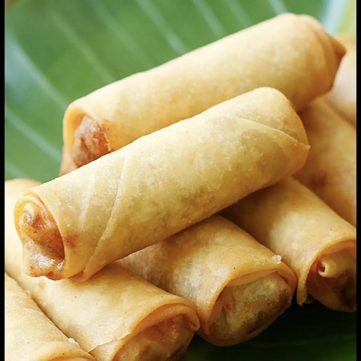 Vietnamese Egg Roll