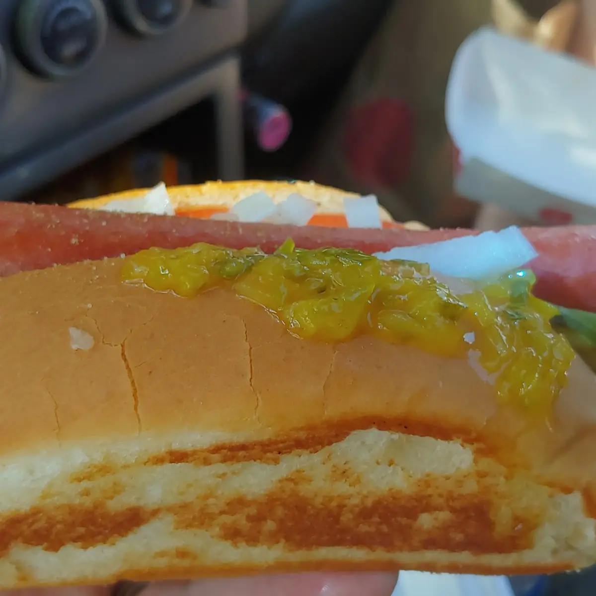 Chicago Dog