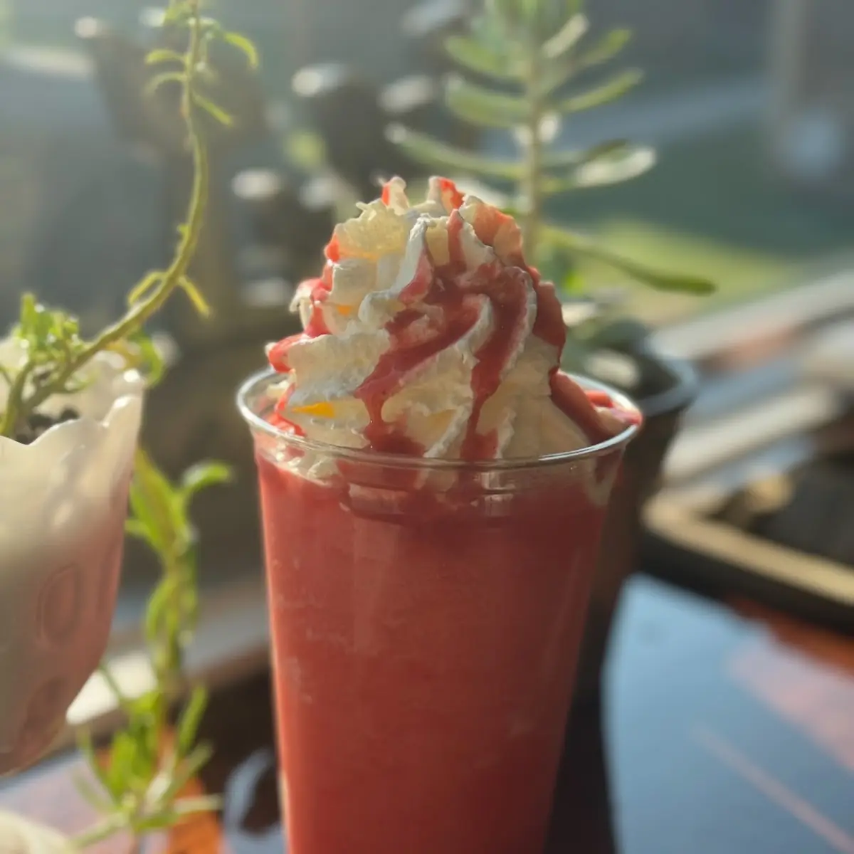 Highlights, Sweet Tree Cafe