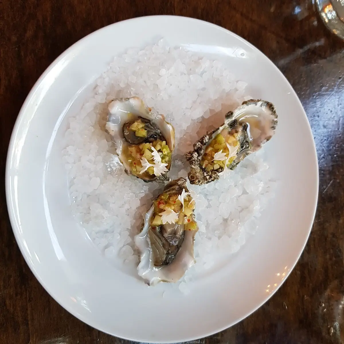 Oysters