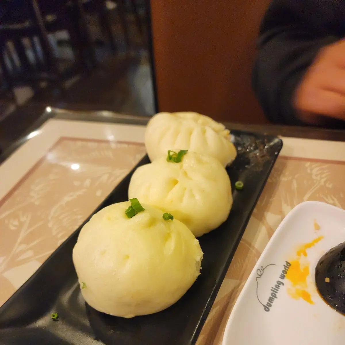 Pan Fried Pork Dumplings