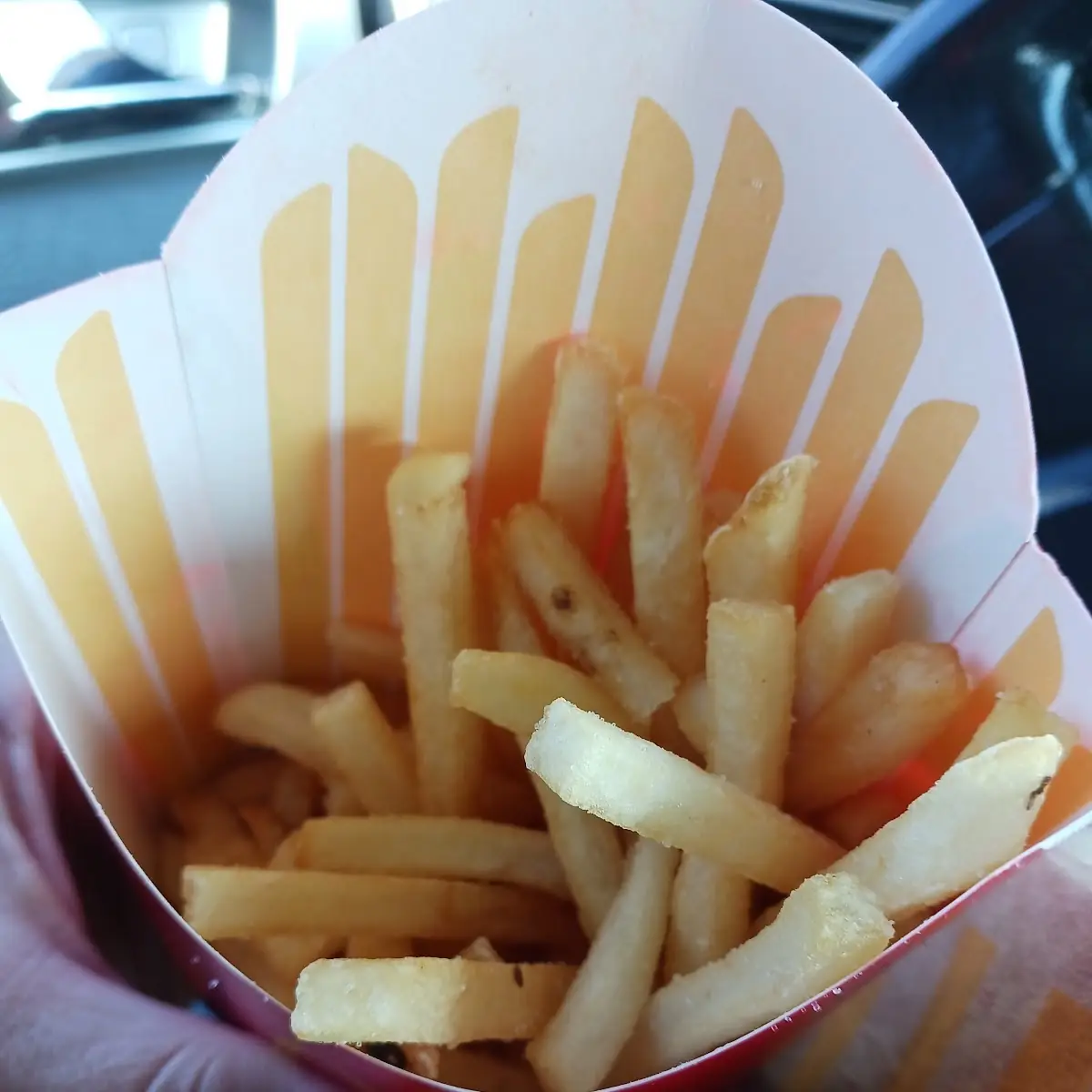World Famous Fries