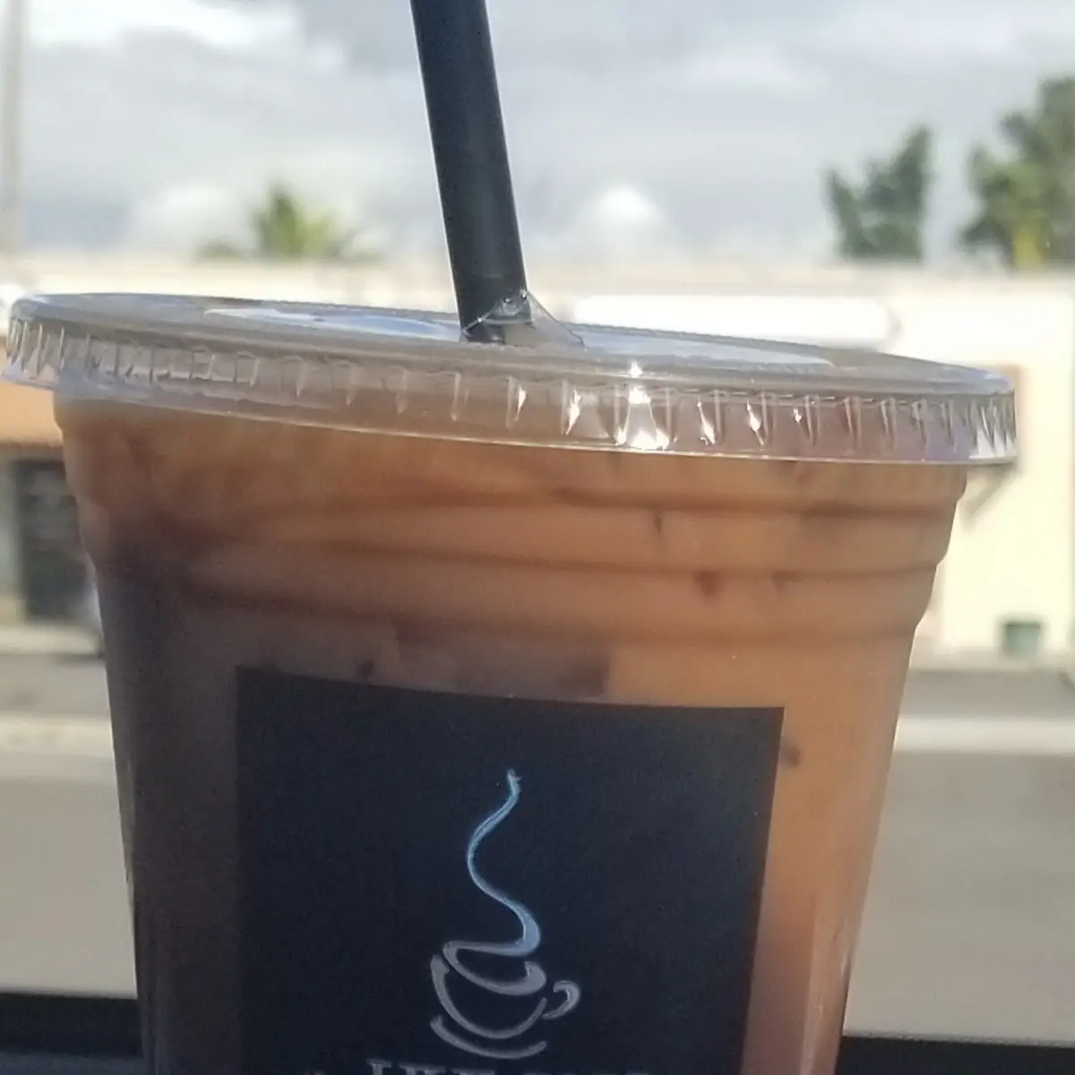 Sugar Free Ice Coffee
