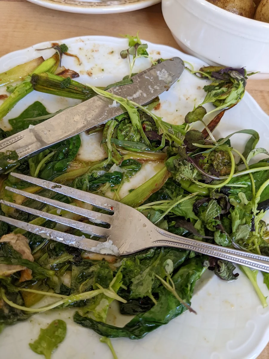 Fiddle Head Salade Verte