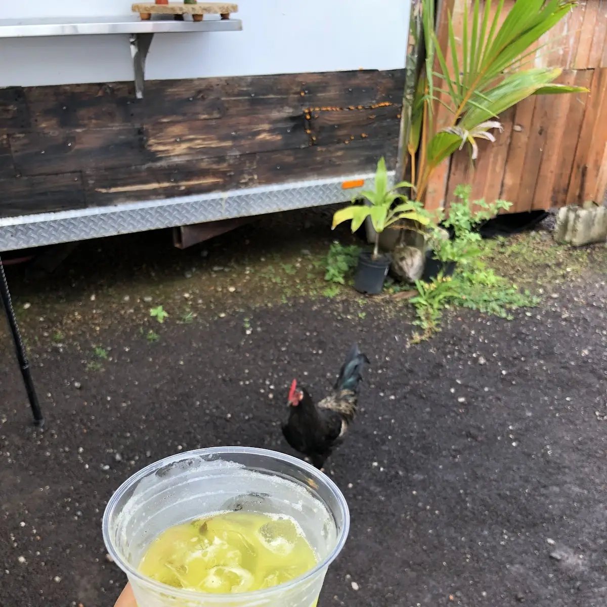 Juice