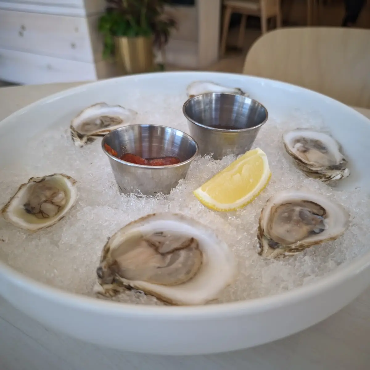 Oysters on the Half Shell