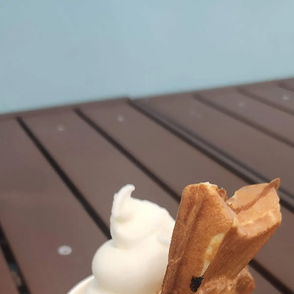 Taiyaki with Soft Serve