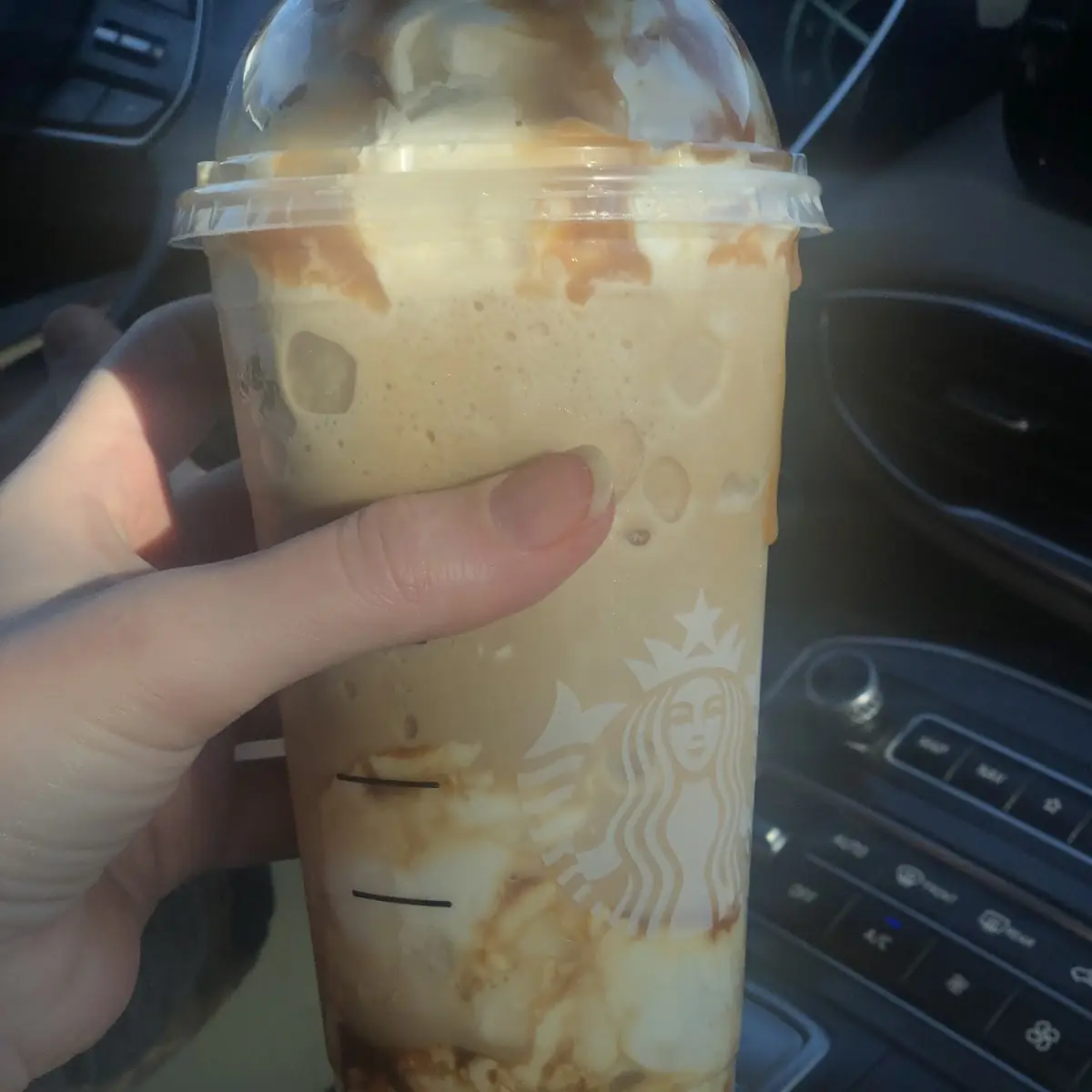 Whipped Cream