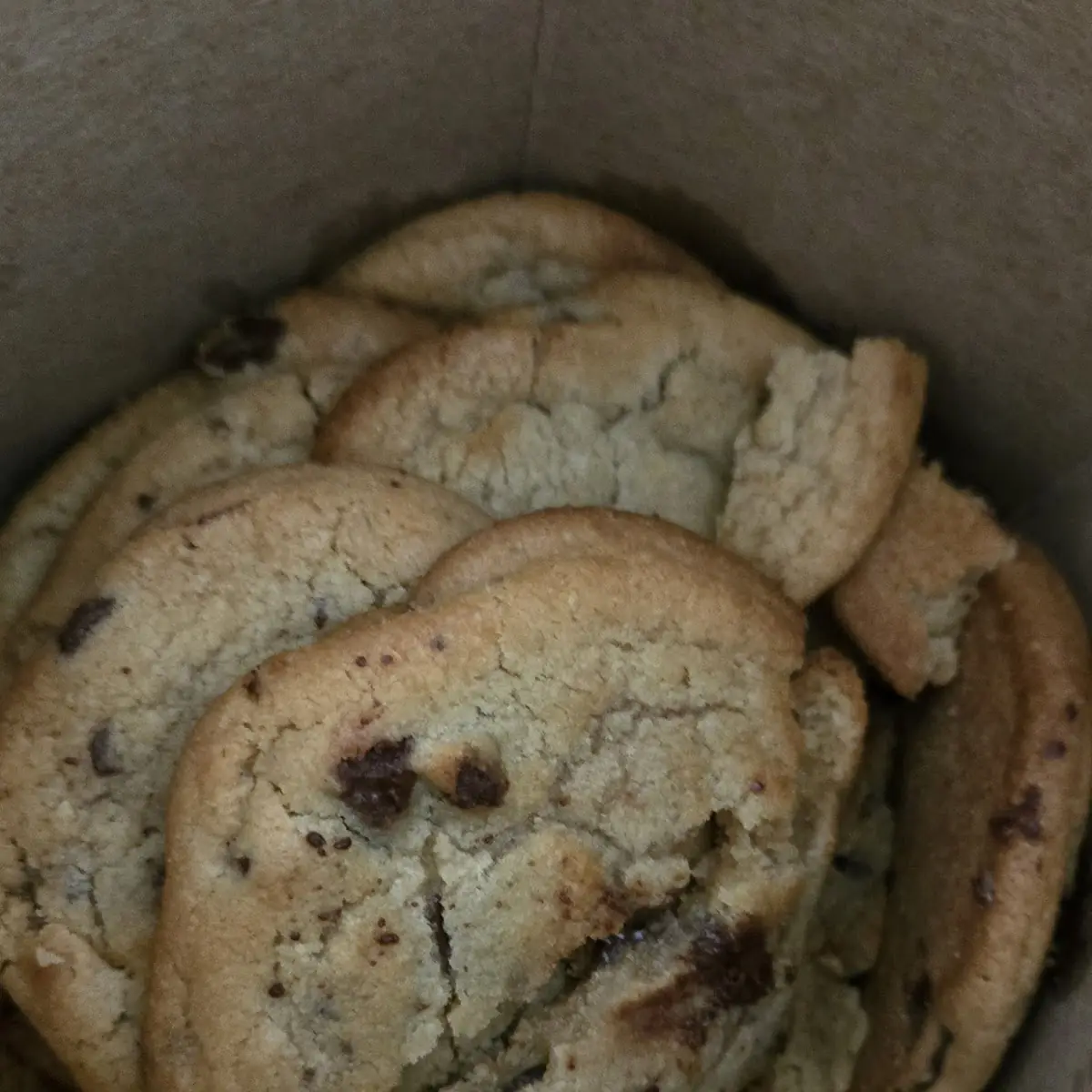 Chocolate Chip Cookie