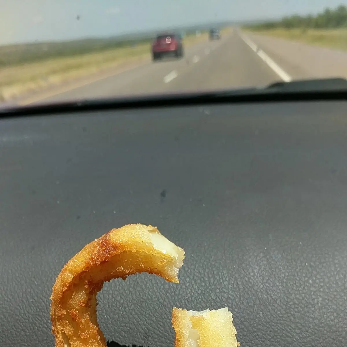 Hand Made Onion Rings