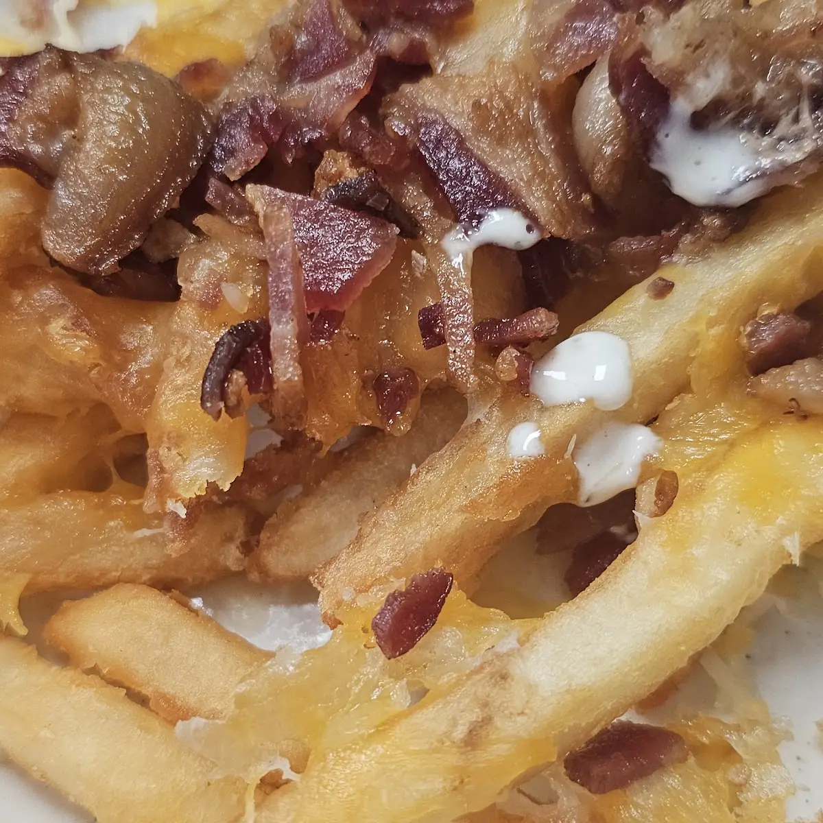Bacon Cheddar