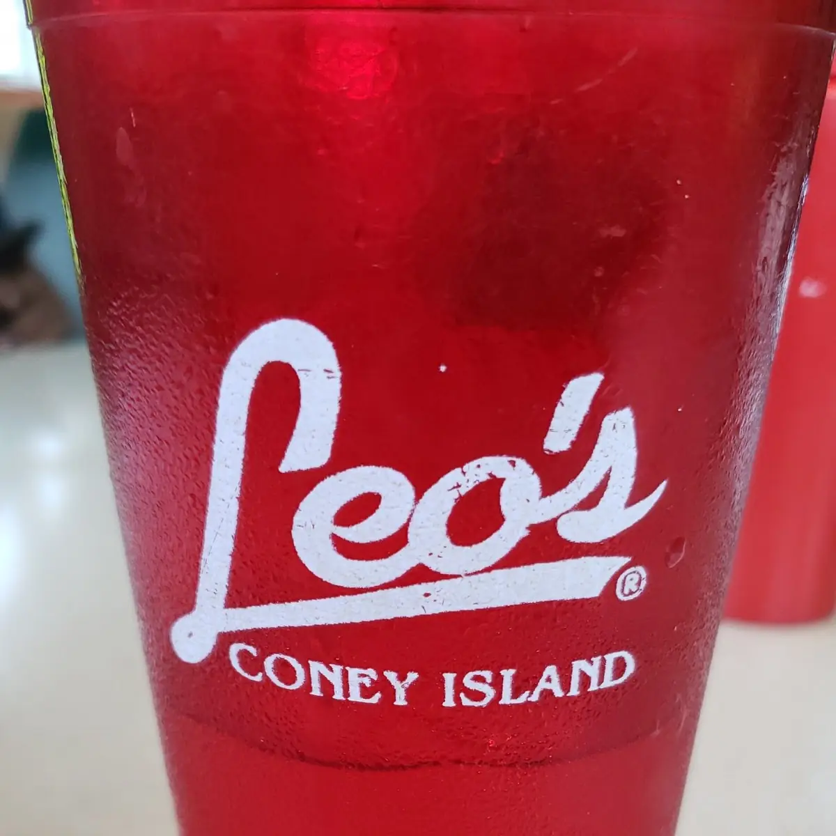 Large Drinking Water