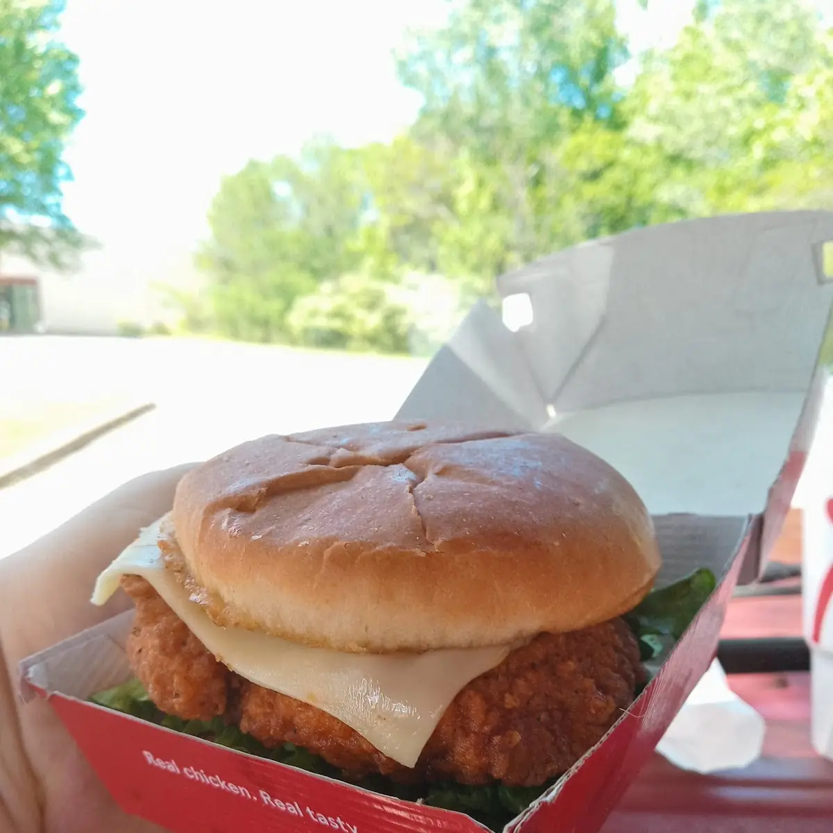 Reg Crispy Chicken Sandwich