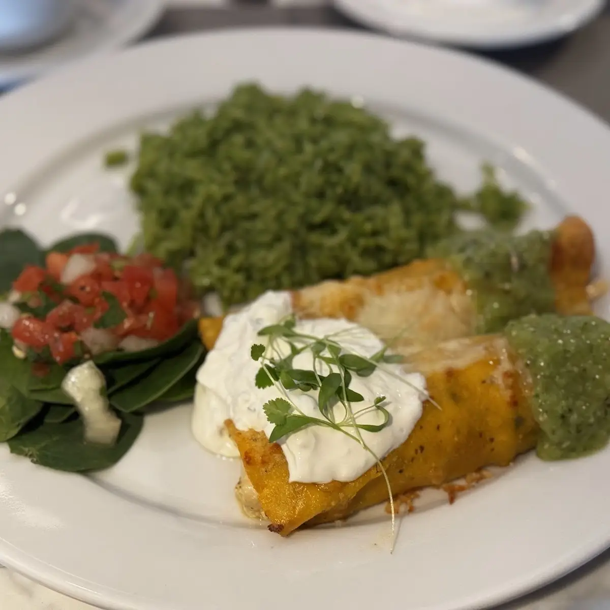 Roasted Chicken Enchiladas