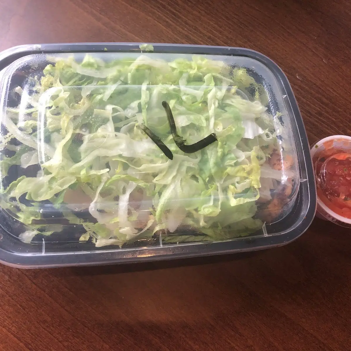 Burrito Bowl