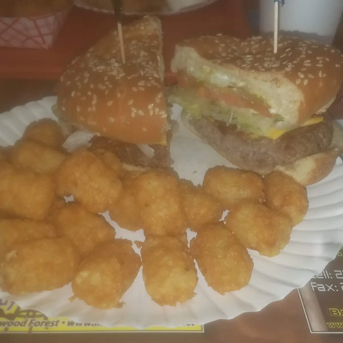 Double Cheeseburger with Tater Tots