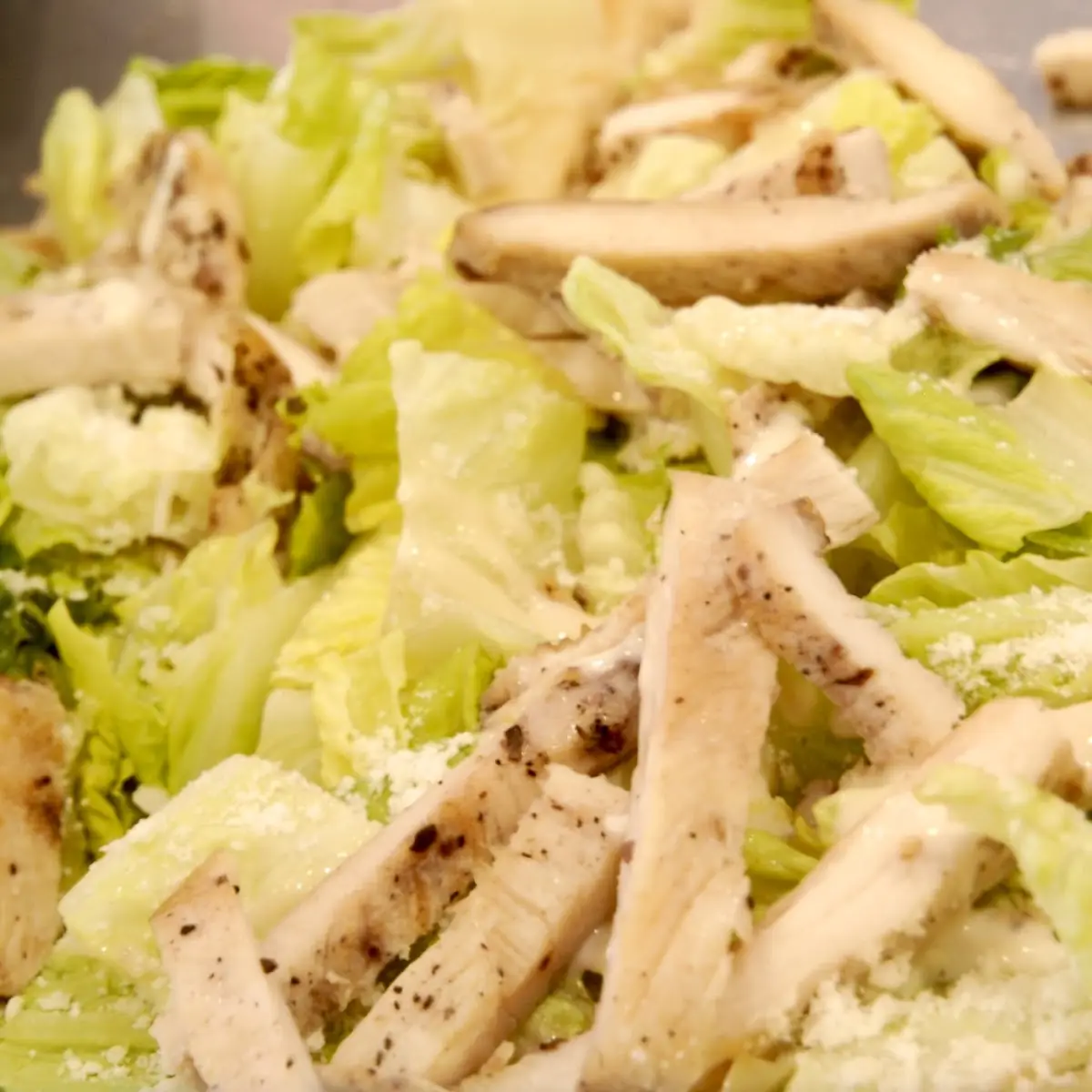 Chicken Caesar Wrap