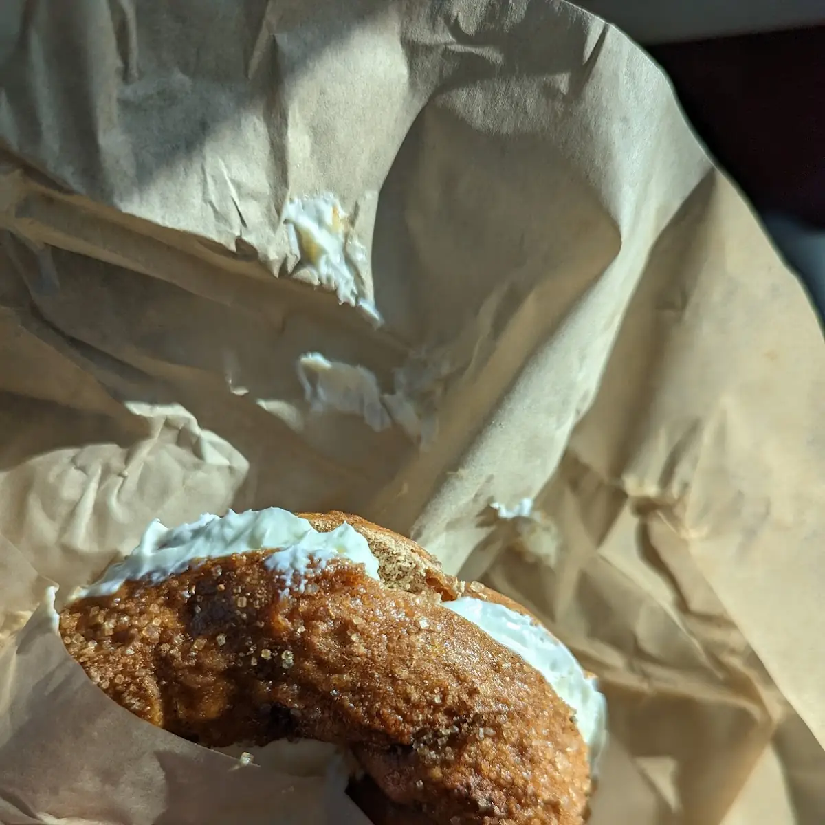 Cinnamon Raisin Bagel