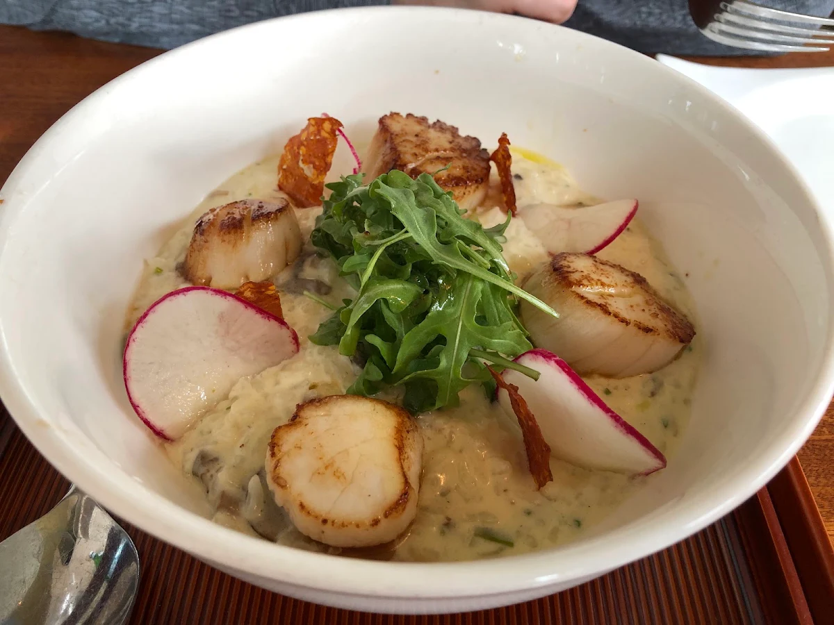 Pan Seared Scallops