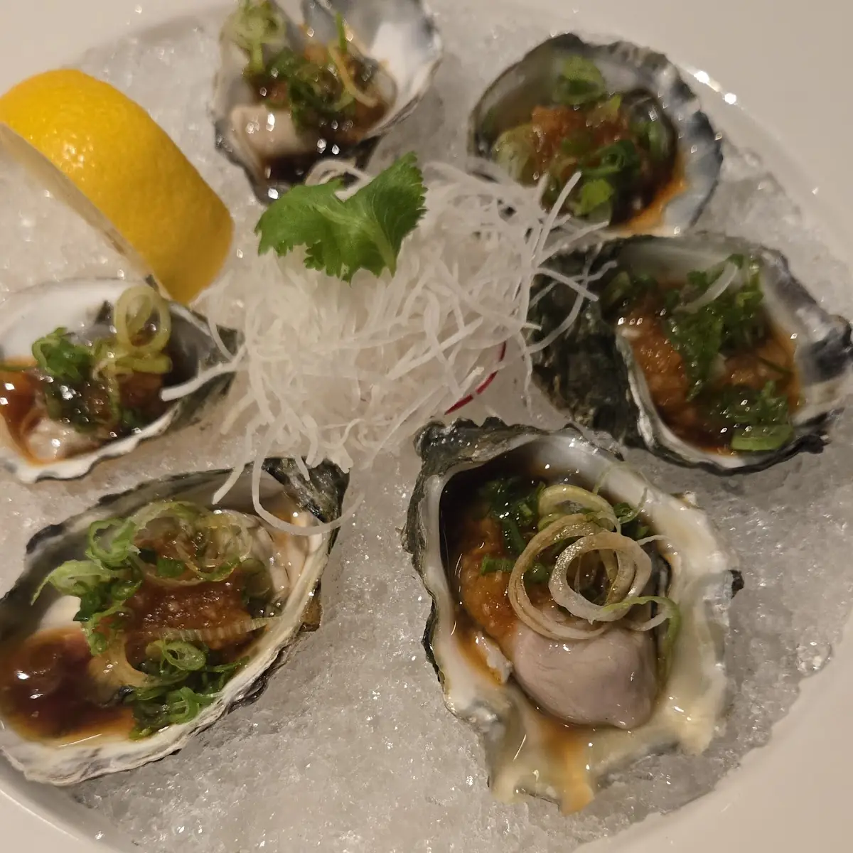 Oysters on the Half Shell