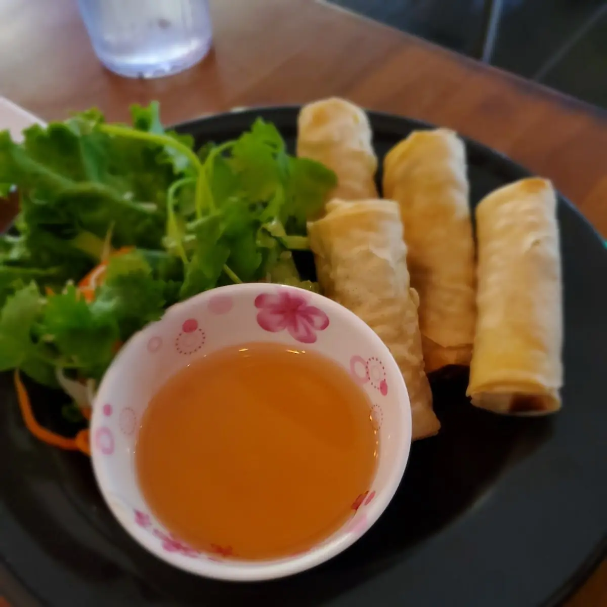Vietnamese Spring Roll